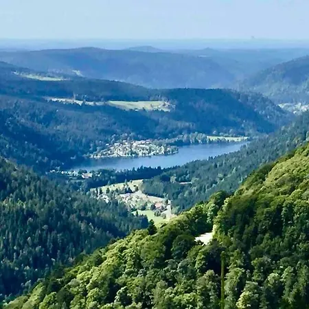Chalet Lefloconbleu 4 Mauselaine Vue Lac-sauna-9pe Gérardmer