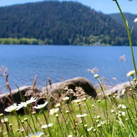 Hébergement de vacances Chalet Lefloconbleu 4 Mauselaine Vue Lac-sauna-9pe