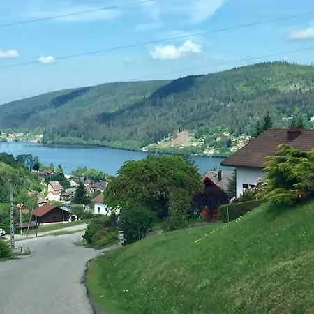 Hébergement de vacances Chalet Lefloconbleu 4 Mauselaine Vue Lac-sauna-9pe