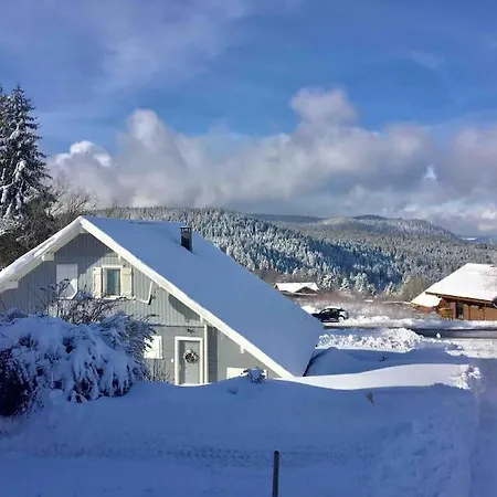 Hébergement de vacances Chalet Lefloconbleu 4 Mauselaine Vue Lac-sauna-9pe *