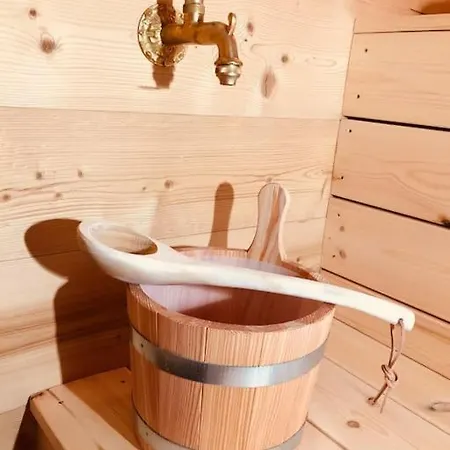 Chalet Lefloconbleu 4 Mauselaine Vue Lac-sauna-9pe
