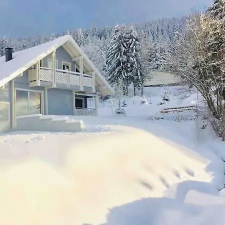 Chalet Lefloconbleu 4 Mauselaine Vue Lac-sauna-9pe *