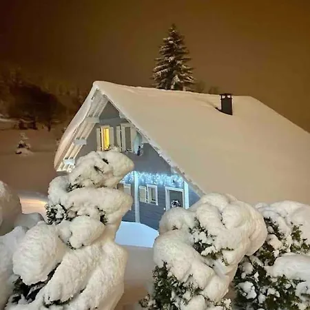 Chalet Lefloconbleu 4 Mauselaine Vue Lac-sauna-9pe Hébergement de vacances Gérardmer