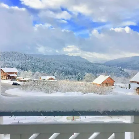 Chalet Lefloconbleu 4 Mauselaine Vue Lac-sauna-9pe * Gérardmer