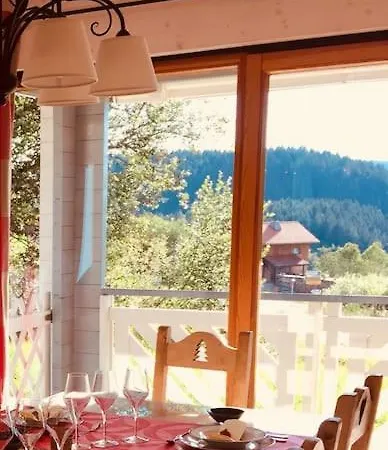 Chalet Lefloconbleu 4 Mauselaine Vue Lac-sauna-9pe Hébergement de vacances *