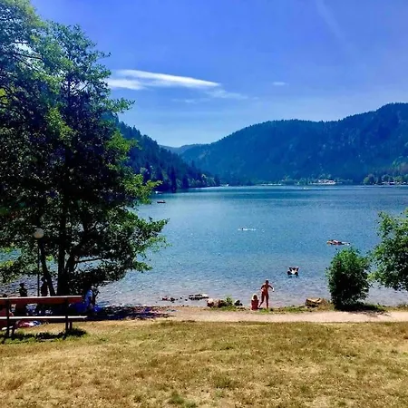 Chalet Lefloconbleu 4 Mauselaine Vue Lac-sauna-9pe Gérardmer
