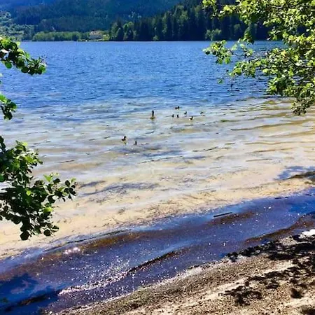 Chalet Lefloconbleu 4 Mauselaine Vue Lac-sauna-9pe